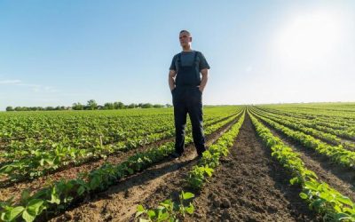 Can I File A Lawsuit If My Crops Were Damaged By Dicamba?